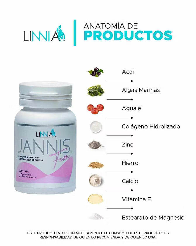 Jannis FEM