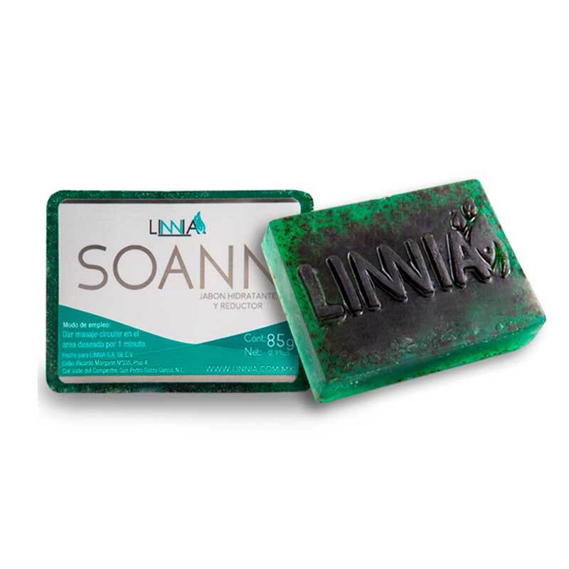 SOANN